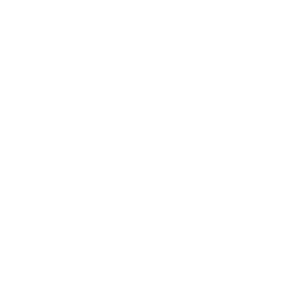 Griffin James Logo